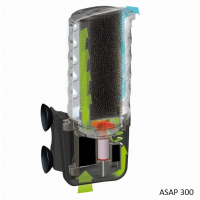asap 300_2